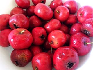 1、自制零添加山楂糕（破壁机）,山楂洗净