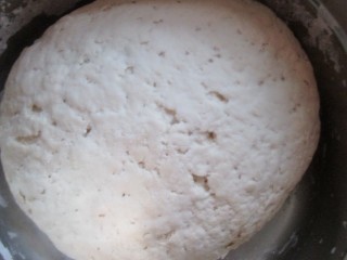 1、莲藕包子,酵母粉加水搅拌均匀，加入面粉和成面团，静置发酵成蜂窝状。