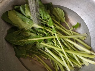 1、苔菜炒肉丝,将苔菜去根摘下叶子，放进盆中，水中加一点盐浸泡一下，洗净。