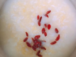 9、玉米渣粥,放入煮好的粥中，煮开即可。