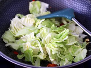9、蒜香手撕包菜粉条,放入包菜，大火继续快速翻炒均匀。