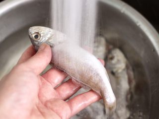 3、五香干炸大头宝鱼,把大头鱼用自来水反复冲洗干净。