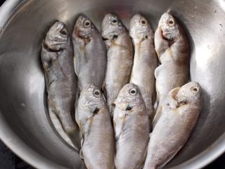 4、五香干炸大头宝鱼,冲洗干净的大头鱼，放到盆中。