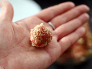 10、手工肉丸萝卜丝煲,用手滚圆肉丸子