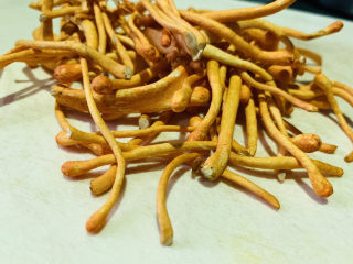 1、虫草花乌鸡汤,鲜虫草花待用；