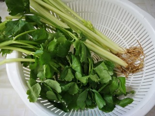 3、芹菜炒木耳,芹菜去掉根须