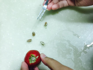 8、冰糖山楂,这是一个山楂的几个籽就都出来了