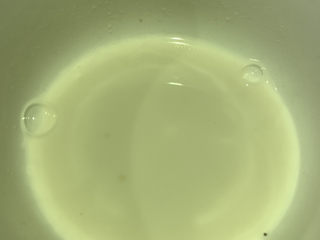 19、糖醋鲈鱼,淀粉加点水调成淀粉水；