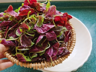 6、清炒苋菜,控干水分。