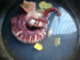 5、鲜香麻辣章鱼足,锅坐水烧开，放入几片姜，料酒，下入章鱼足过水焯20秒，捞出备用。