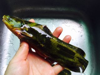 1、黄刺鱼炖豆腐,滑溜溜的黄刺鱼，买来的时候让鱼贩杀好并处理好内脏