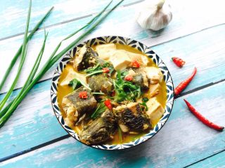 23、黄刺鱼炖豆腐,出锅装盘撒上香菜段