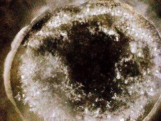 10、茴香饺子，最美的遇见,锅中水煮沸后放入饺子。再次煮沸后加入适量的凉水，重复二次，等饺子浮上水面上即可。