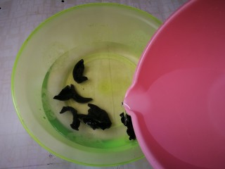 1、西葫芦炒木耳,黑木耳放入清水浸泡两小时