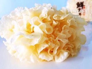 1、银耳莲子羹,像花朵一样的新鲜银耳。