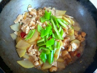 15、土豆片干豆腐烧鸡翅根,水耗干，尖椒切菱形片，放入尖椒翻炒