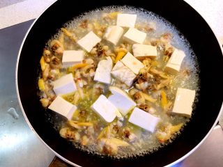 10、花蛤豆腐汤,加适量水。