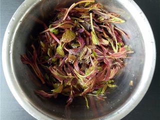 1、香椿厚蛋烧,香椿择去较老的部分，洗净； 