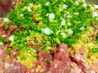 9、萝卜丸子,调入葱花；我后面又做了一次没有葱花的丸子，口感上没多大影响。而且没有葱花的丸子，更适合儿童；