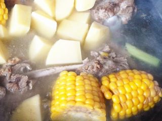 10、秋季滋补靓汤——玉米羊肉汤,出锅后放盐和白胡椒粉调味。