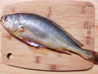 1、酱焖黄花鱼,准备好黄花鱼一条。