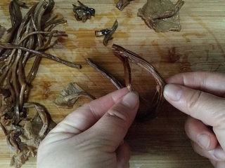 3、#菌类料理# 麻辣茶树菇干锅,将泡软后茶树菇取出用剪刀剪去根头部分、再将粗大点儿的根茎对半撕开，这样吃起来会方便