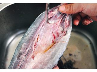 8、#吃豆腐#渔家豆腐鱼,去掉鱼所有的五脏和血液后、继续用清水冲洗干净