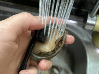 4、蒜蓉粉丝蒸鲍鱼,鲍鱼用牙刷刷干净；