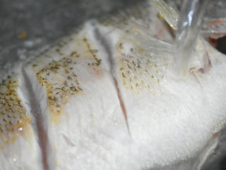 5、鲈鱼娇汤,加水，没过鱼身。