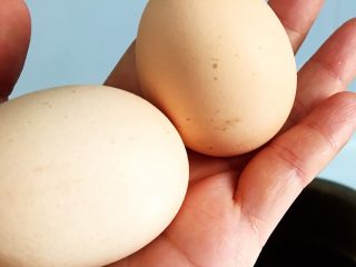 10、电压锅版调经养生汤,早餐会饿，所以我们需要吃2个鸡蛋