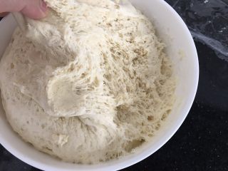 7、#咸味#～火腿葱花卷,面团发酵至2⃣️倍大，内部呈蜂窝状