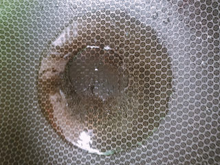 6、荷兰豆炒肉片,热锅冷油