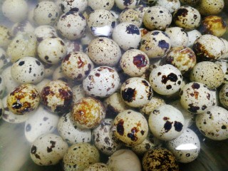 1、麻油滚蛋,将新鲜的生的鹌鹑蛋用清水洗一下。