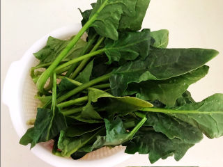 1、菠菜蛋卷,菠菜清洗干净