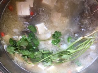 15、鲫鱼豆腐汤,最后放入香菜即可关火