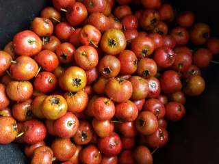 1、美味山楂糕,1.把山楂果洗干净。