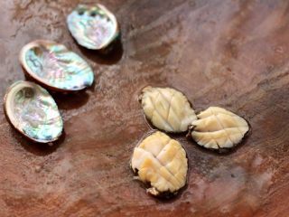 4、鲍鱼对虾香菇菠菜面,再把鲍鱼洗净后，用刀改一下花刀。