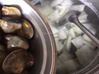 8、沙白冬瓜汤,待冬瓜片煮至开始变得透明时即可加入洗净后的沙白