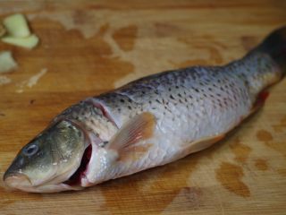 2、酱烧鲤鱼,鱼洗净去筋，鱼背划几刀