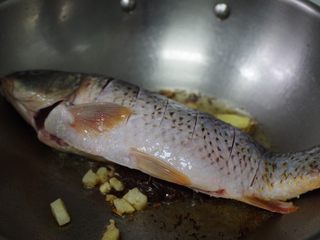 6、酱烧鲤鱼,放鱼煎