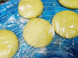 22、苦瓜发面饼,一个个弄好，盖上保鲜膜醒发十几分钟