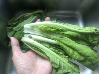 2、香菇炒青菜,掐去根部和老爷子。