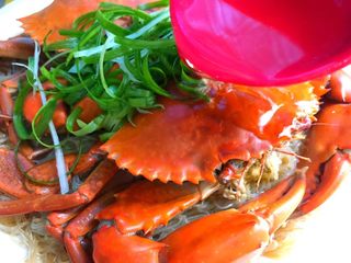 8、粉丝蒸青蟹,青蟹蒸好取出，放上葱丝，锅里放入适量油，烧至9成热，把热油浇到青蟹和葱丝上即可。