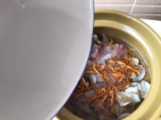 10、响螺虫草花老鸽汤,加入清水