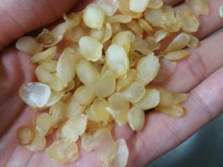 4、糙米红豆粥,适量的雪莲子