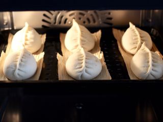 17、杏鲍菇酱肉发面包,蒸箱启动醒发模式，看见醒发至原来的1.5倍大的时候，启动纯蒸模式，100度蒸15分钟焖3分钟即可断电。