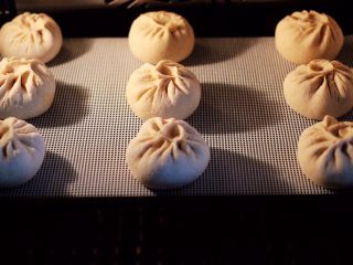 16、全麦牛肉白菜包,包好的包子放到蒸箱里进行二发，看见包子醒发后是原来的1.5倍时，启动蒸箱蒸熟即可，如果是用蒸锅蒸，大火烧开后蒸20分钟后关火，焖5分钟即可。