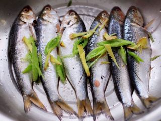 6、剁椒清蒸海鲫鱼,加入切丝的葱姜搅拌均匀后，腌制20分钟。