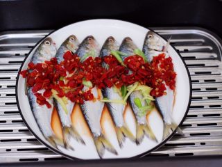 9、剁椒清蒸海鲫鱼,锅中倒入适量的清水烧开后，放入海鲫鱼。