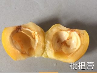 3、枇杷膏,如图去蒂去核